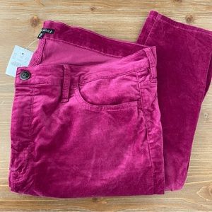 NWT SZ 34 Pink JCrew Mercantile Velvet Pants